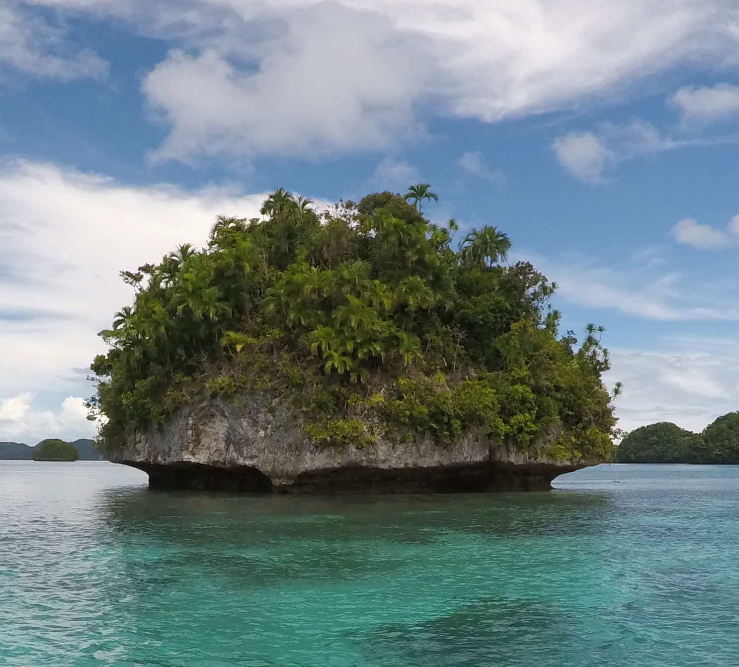 Supporting the conservation of Palau marine mammals through IMMA ...