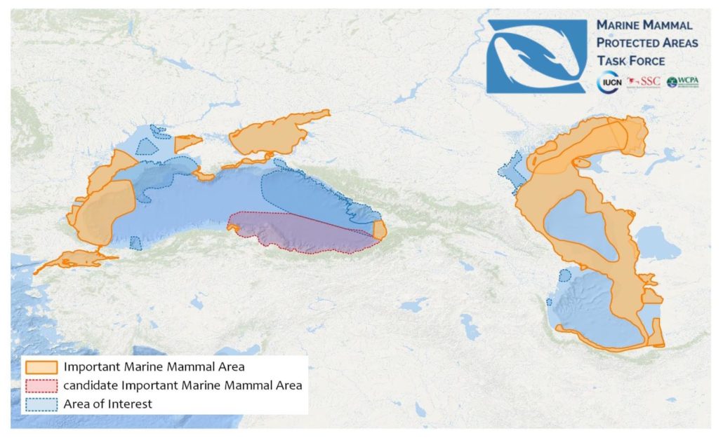 Black Sea, Turkish Straits System and Caspian Sea - Marine Mammal ...