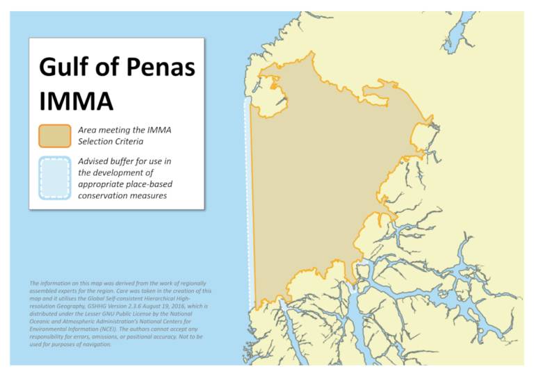 Gulf Of Penas IMMA - Marine Mammal Protected Areas Task Force