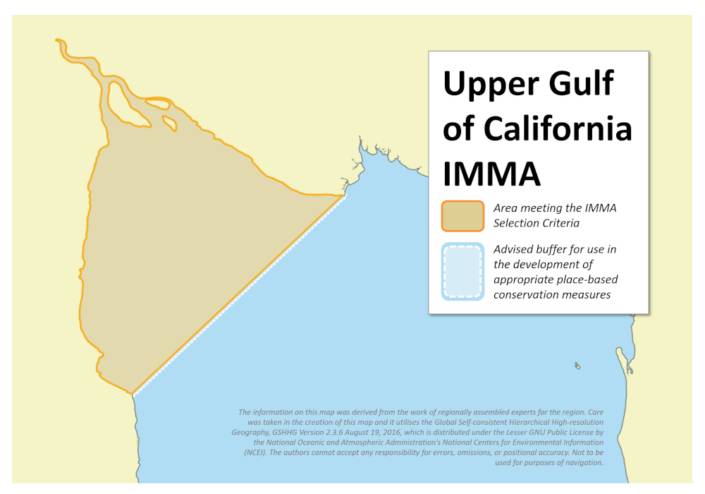 upper-gulf-of-california-imma-marine-mammal-protected-areas-task-force